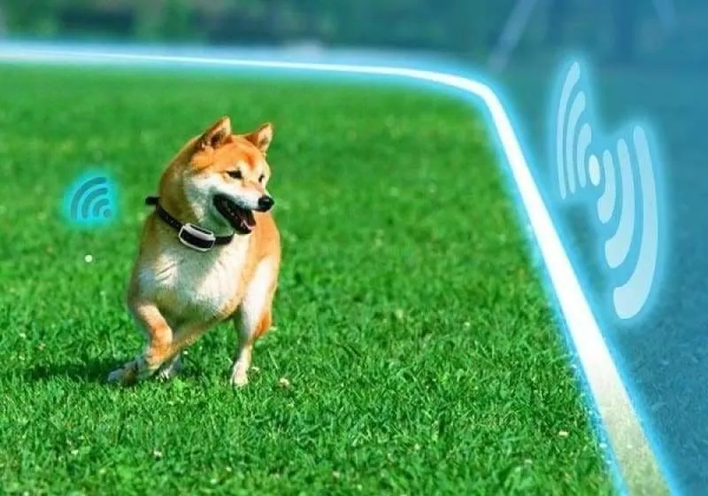 Electric Dog Wireless Fence