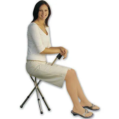 Portable Folding Fold Up Walker Sports Chair