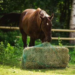 Small Square Bale Bag